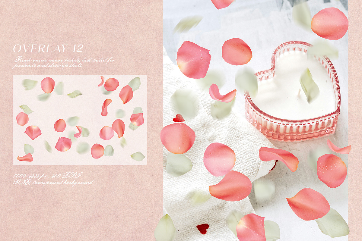 Multicolored Rose Petals Overlays, a Texture Graphic by Kaleriia (Photo 13 of 16)