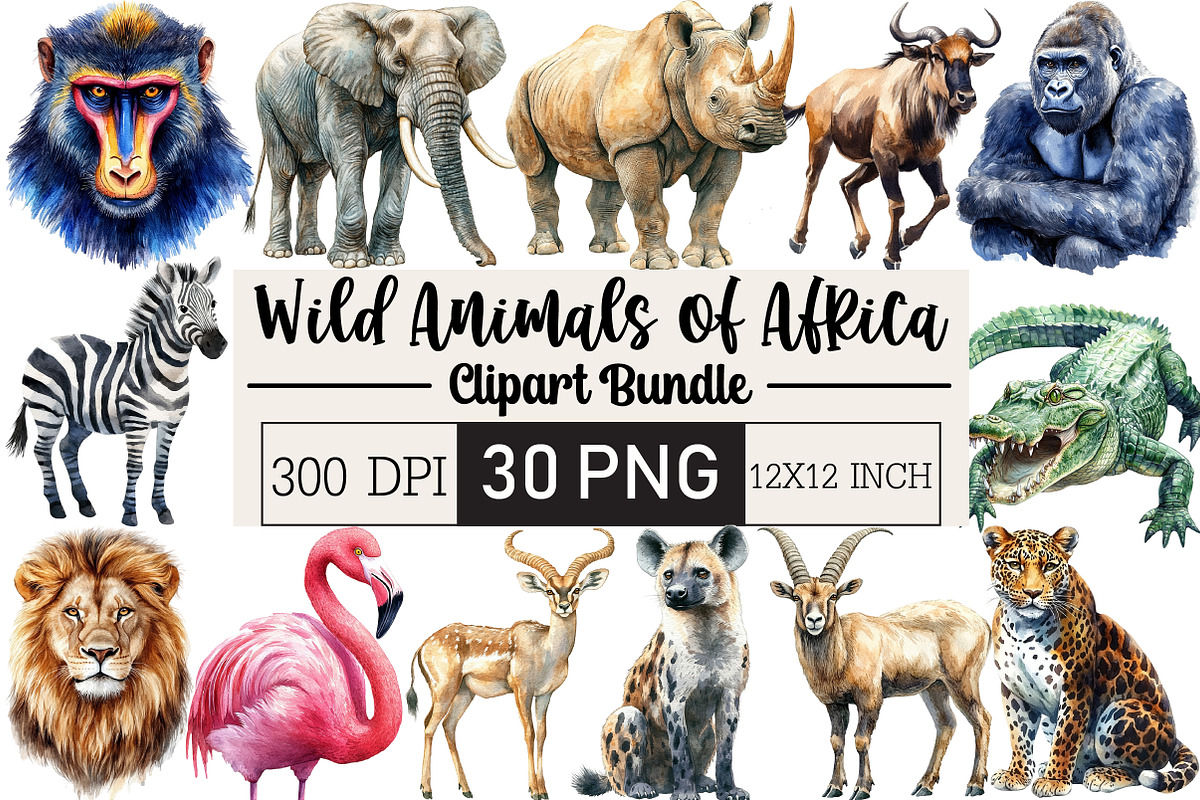 Wild Animals Of Africa PNG, an Illustration by Black Bird Studio (Photo 1 of 6)