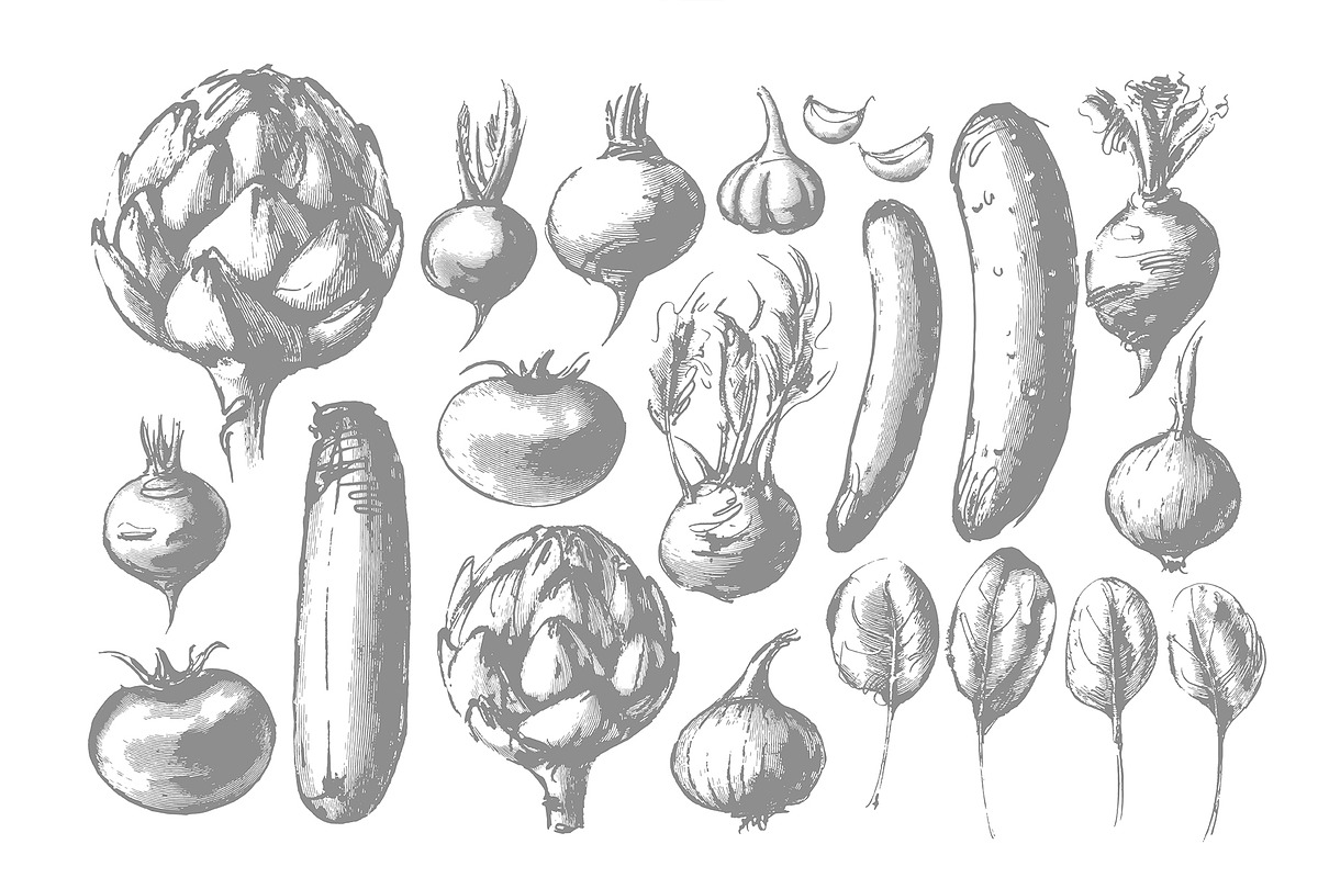Vegetable collection, an Object Graphic by Siosay (Photo 3 of 13)