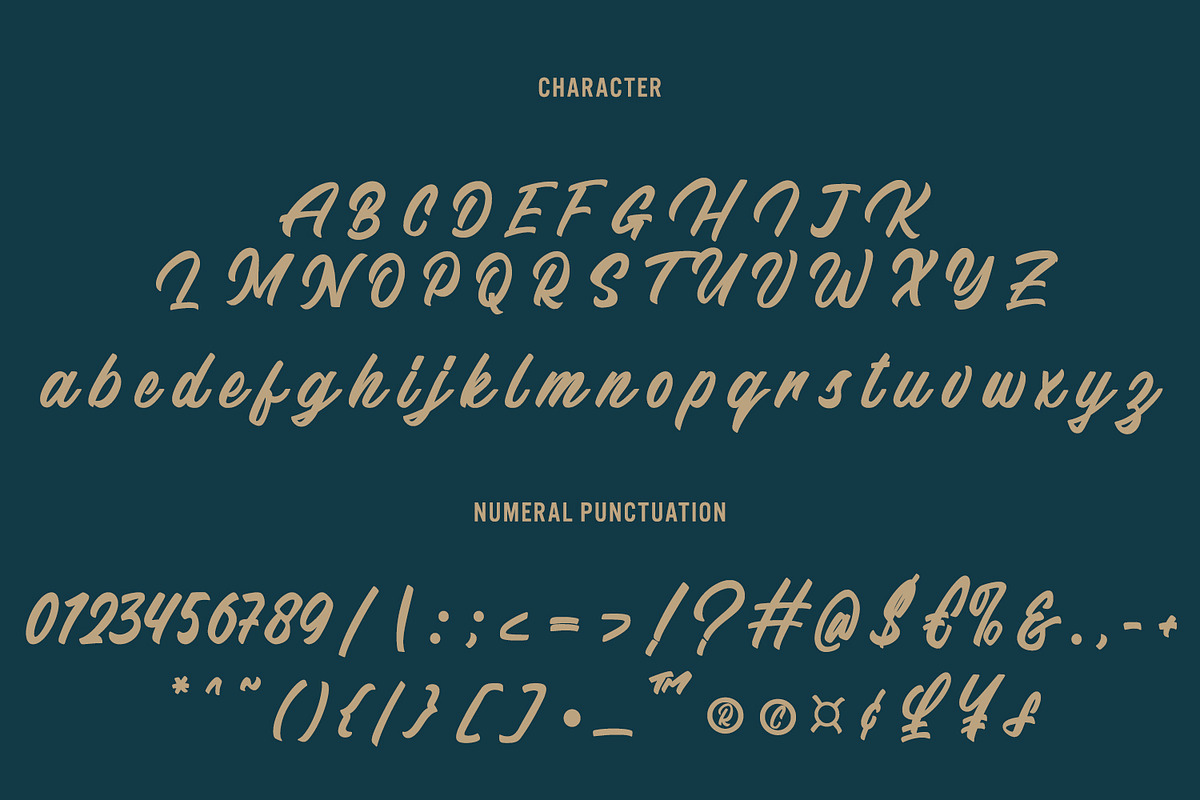 Throughout - Stylist Script Font, a Script Font by Arendxstudio (Photo 8 of 9)