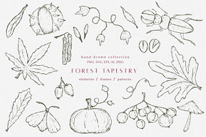 Autumn botanical hand-drawn graphics