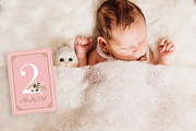 Floral Card Collection-45 files, a Card Template by Werlang Paper (Thumbnail 37 of 43)