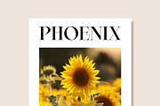 Averie Brenton - Serif Font Family, a Serif Font by Grezline Studio (Thumbnail 4 of 12)