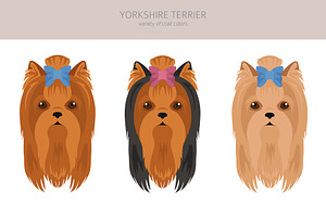 Yorkshire Terrier Clipart