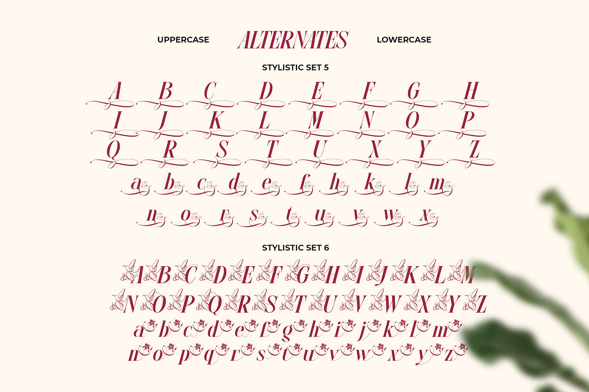 Glow More Typeface, a Serif Font by alit design (Photo 11 of 17)