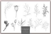 Secret Garden / Watercolor&Graphite, an Illustration by Jeanina Vlad (Thumbnail 6 of 20)