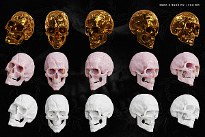 Skull Renders - 35 3D Renders