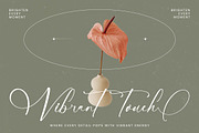 Nourisha Besthafi Stylish Font, a Script Font by stylishtype.co (Thumbnail 2 of 20)