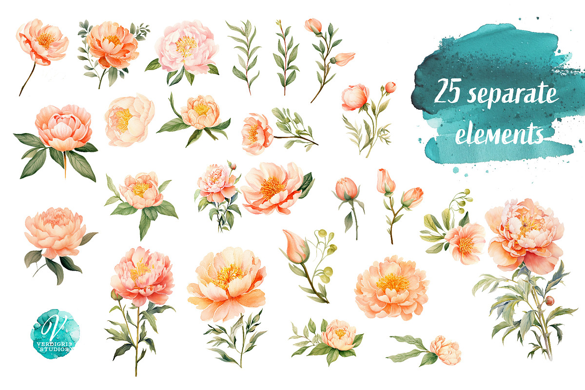 Watercolor Peach Peonies, an Object Illustration by Verdigris Studios (Photo 3 of 4)