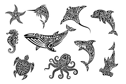 Tribal sea animal Maori tattoo, an Animal Illustration by Buch&Bee