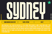Senora Discount 20 Off, a Sans Serif Font by inumocca_type (Thumbnail 3 of 15)
