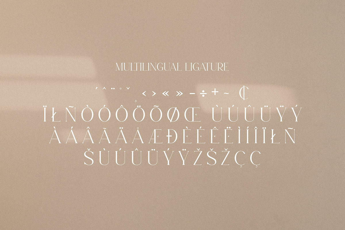 Levaus - Ligature Typeface, a Serif Font by Graphicxell (Photo 16 of 17)