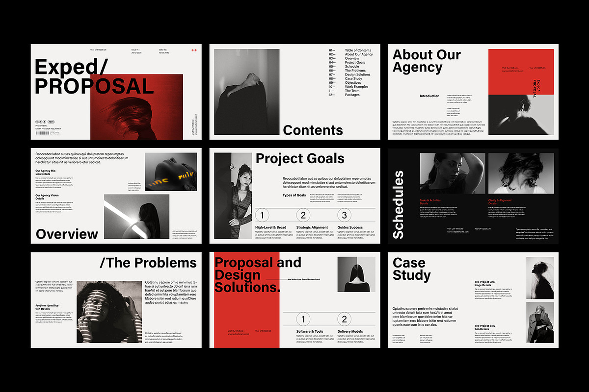 Proposal Presentation Template, a Presentation Template by DesignCrest (Photo 12 of 14)