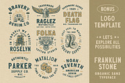 Franklin Stone + Extras, a Sans Serif Font by IronbirdCreative (Thumbnail 4 of 10)