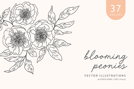 Peonies Vector Illustrations, a Decorative Illustration by Emma Webb Studio