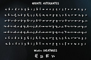 Winter Brush, a Script Font by Barland Design (Thumbnail 8 of 9)
