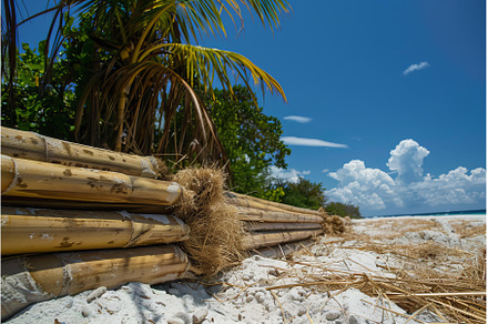 Tropical beach with bamboo poles on, a Nature Photo by Ylivdesign