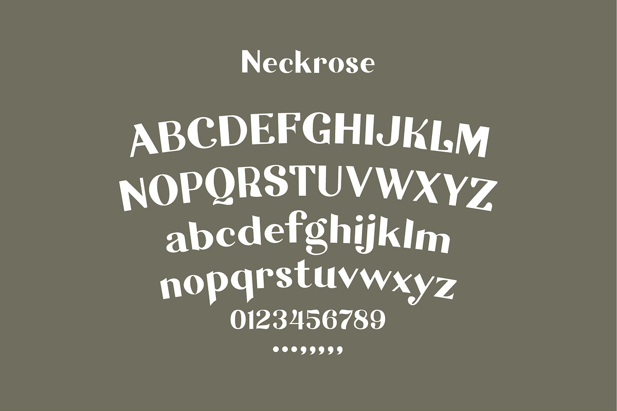 Neckrose - Serif Family Typeface, a Serif Font by Illousa (Photo 3 of 10)