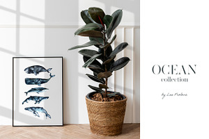 Watercolor Ocean Collection