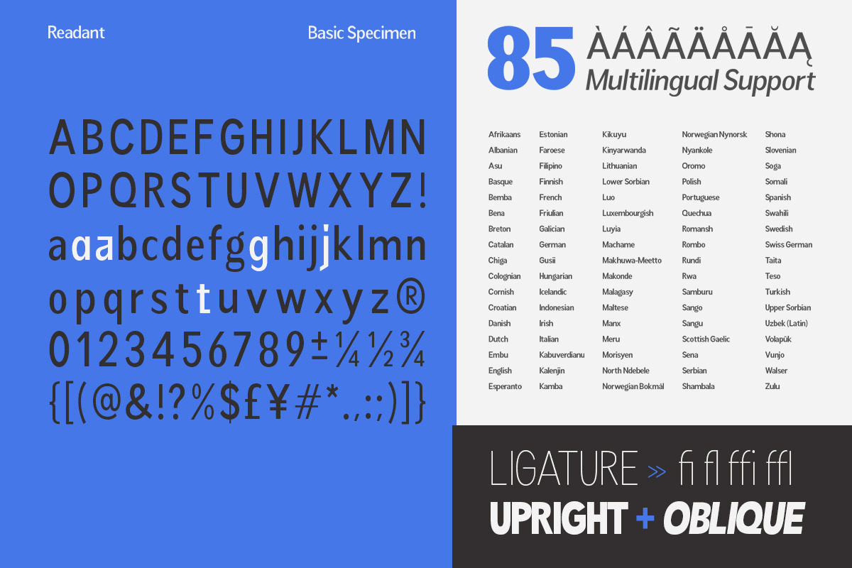 Readant Condensed - Family Font, a Sans Serif Font by Rastype (Photo 5 of 10)
