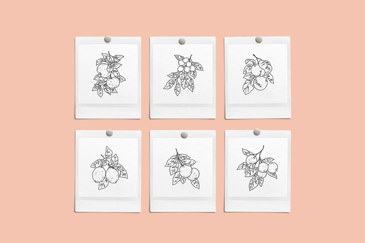 Fruit Garden Vector Illustrations, a Decorative Illustration by Emma Webb Studio (Photo 4 of 7)