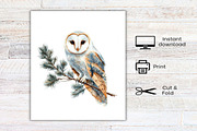 Christmas Barn Owl Clipart, an Illustration by Canvas Craft (Thumbnail 8 of 8)