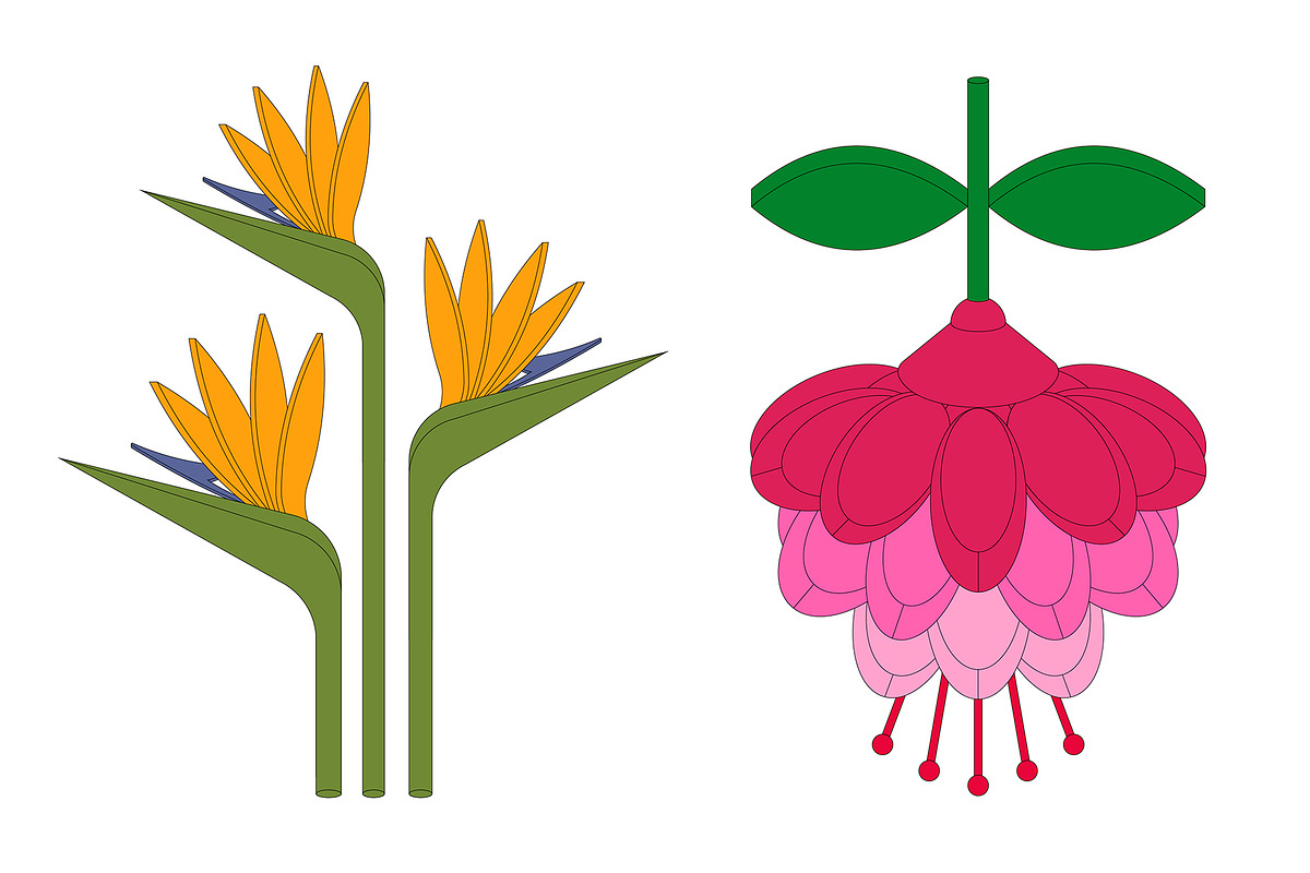 REASSEMBLED FLORA, a Decorative Illustration by HaiHoa (Photo 4 of 7)