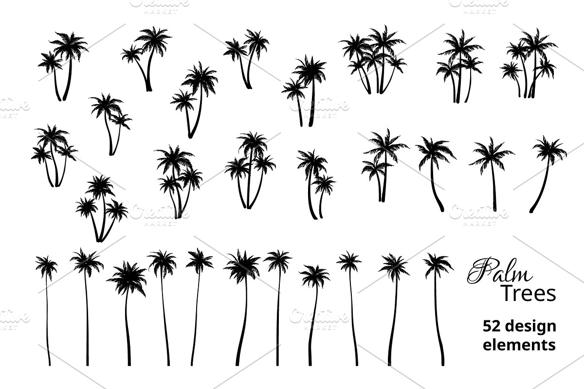 Large set of palm trees. 52 designs., a Decorative Illustration by VetaDesign (Photo 1 of 4)