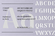 Cemany Toka, a Serif Font by studiobasic (Thumbnail 6 of 9)