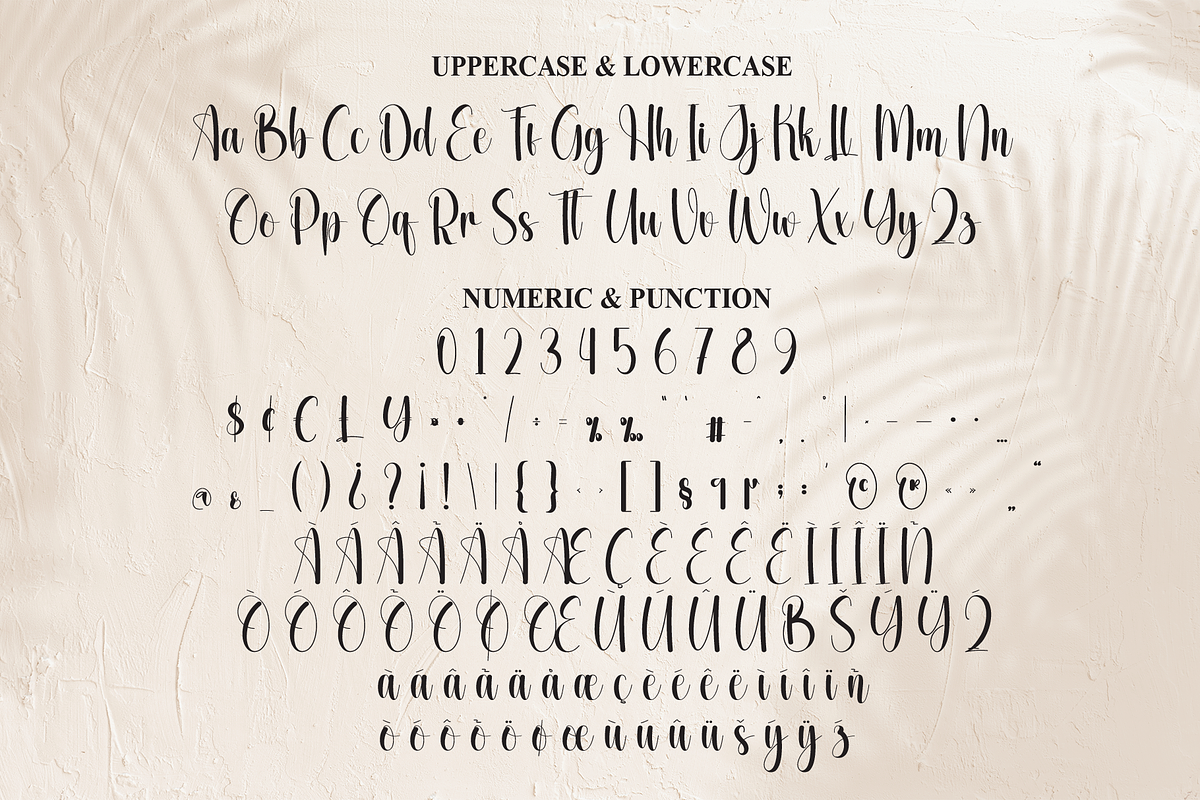 Background | Script Font, a Handwritten Font by Scratchones (Photo 7 of 8)