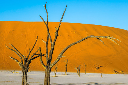 The concept of exotic travel, a Nature Photo by kavram