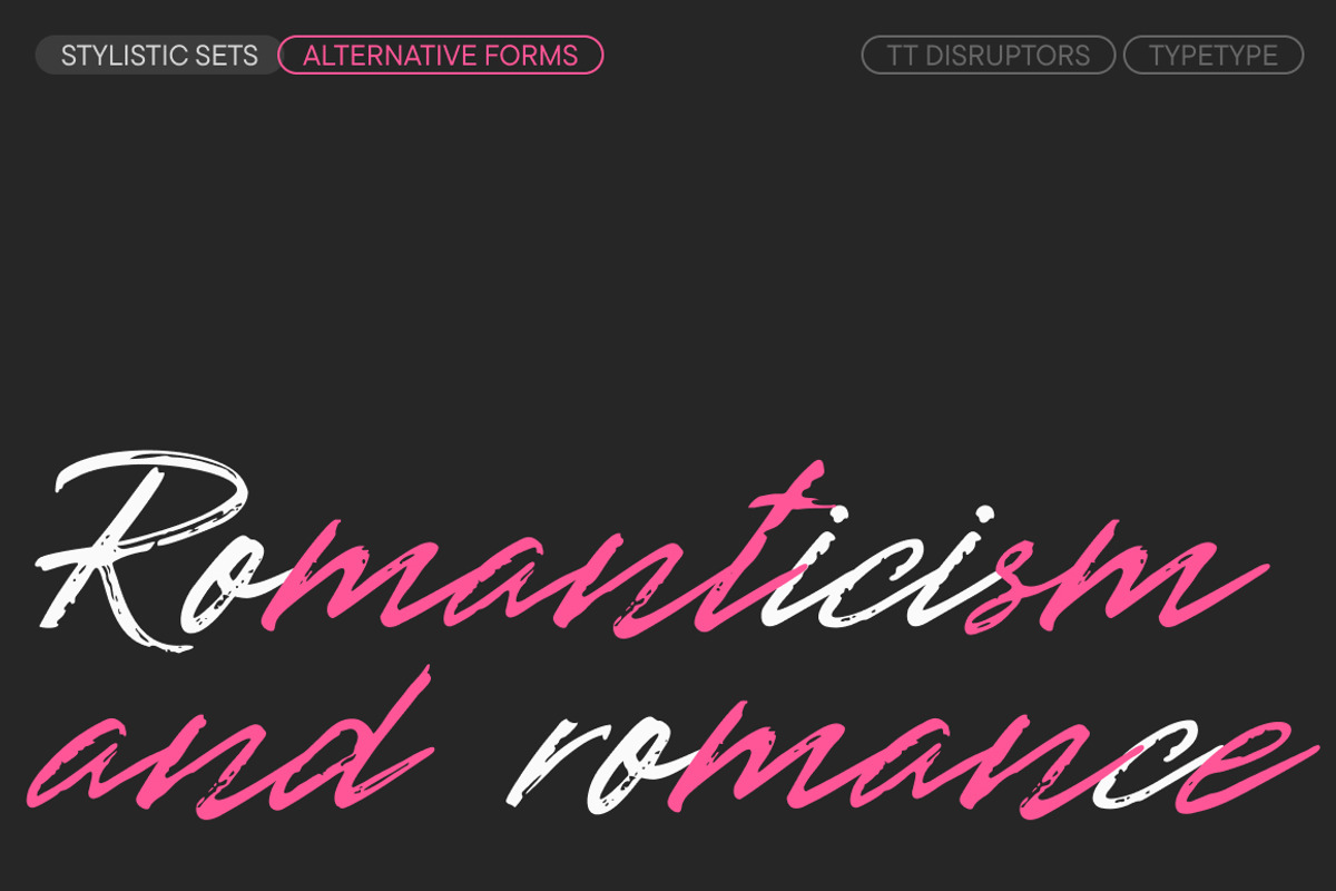 TT Disruptors, a Script Font by TypeType (Photo 11 of 12)