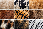 Photorealistic Animal Fur, an Animal Photo by PopotLane (Thumbnail 4 of 10)
