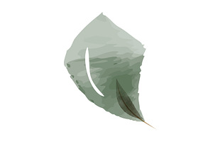 Watercolor single green leaf, an Object Illustration by okskukuruza