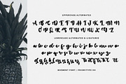 Boement - Chic Script Font, a Script Font by Prioritype Co (Thumbnail 11 of 11)