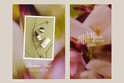 Blur Flower Abstract Backgrounds, a Background Graphic by eclosque (Thumbnail 16 of 27)