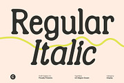 CS Wagner Drawn, a Serif Font by Craft Supply Co. (Thumbnail 2 of 8)
