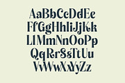 Royalti Cindles Elegant Serif, a Serif Font by timelesstype.co (Thumbnail 7 of 14)