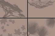 50 plants shadows, a Mockup by AnastasiyaOleynik (Thumbnail 11 of 14)
