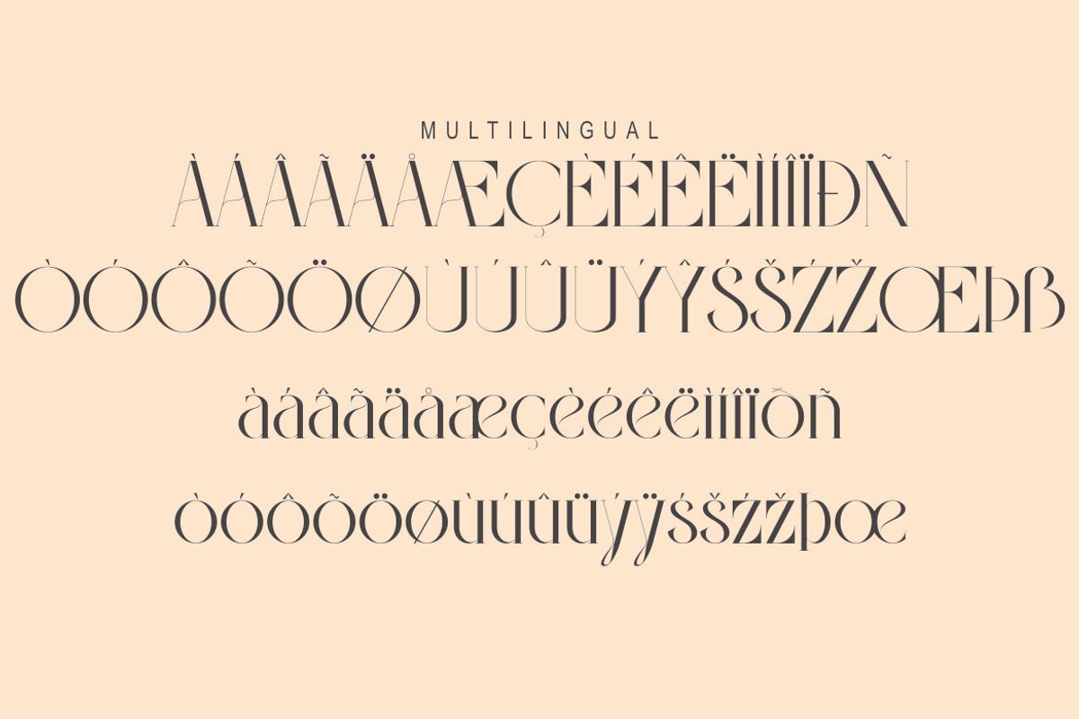 Violina, a Serif Font by Kenrichi (Photo 5 of 10)