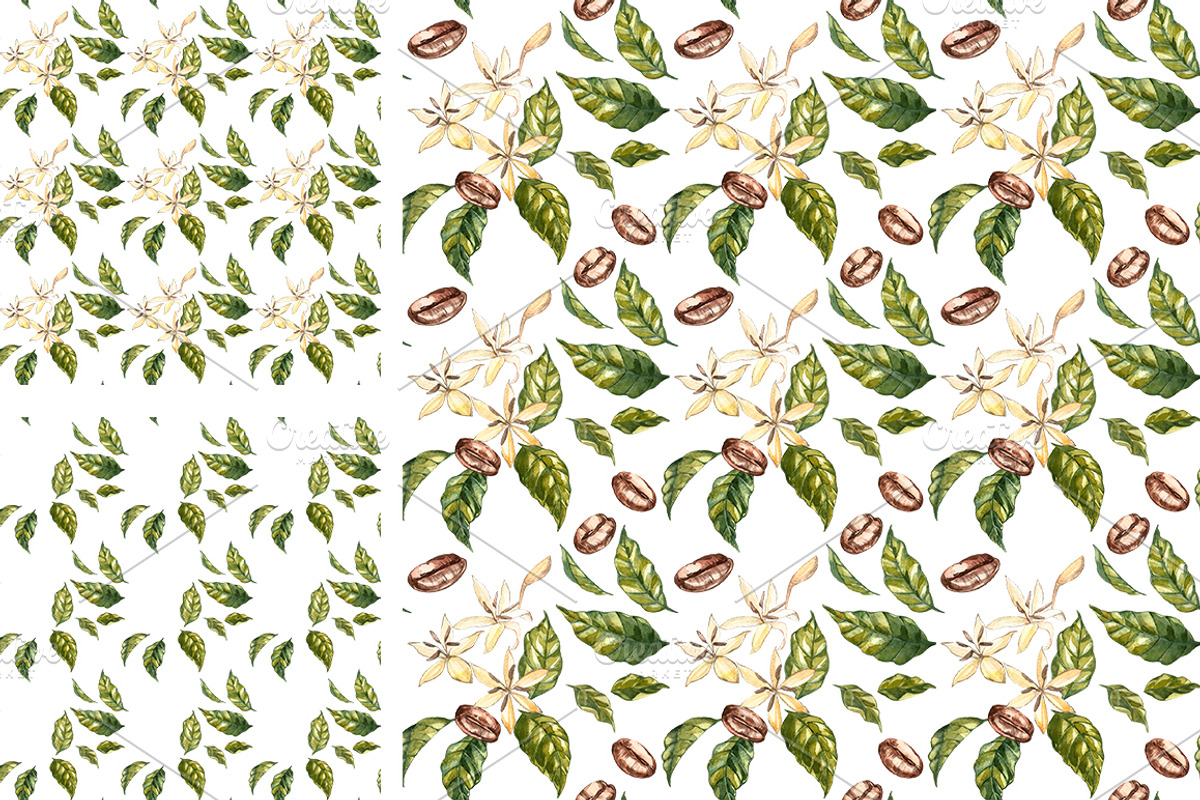 Coffee in botanical style, a Food Illustration by Ann Astro (Photo 5 of 9)