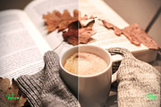 Autumn Photoshop Actions 110 Bundle, an Action Add-On by ARTNEST (Thumbnail 4 of 11)