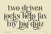Wondernesia Nostalgic & Modern Serif, a Serif Font by Lettertype Studio (Thumbnail 5 of 15)
