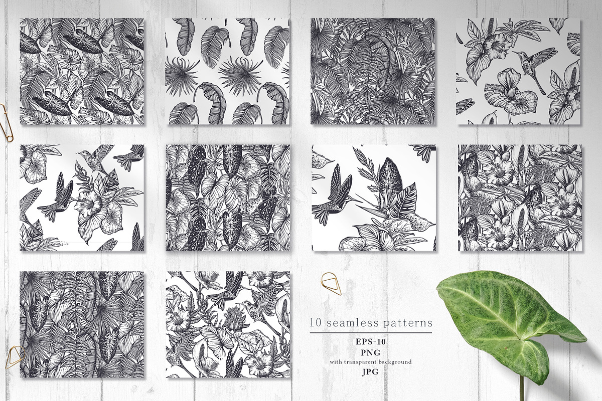 Tropical nature vector set, an Animal Illustration by Molly art (Photo 12 of 15)