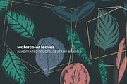 watercolor leaves brushes, a Brush Add-On by dxxb studio (Thumbnail 1 of 3)