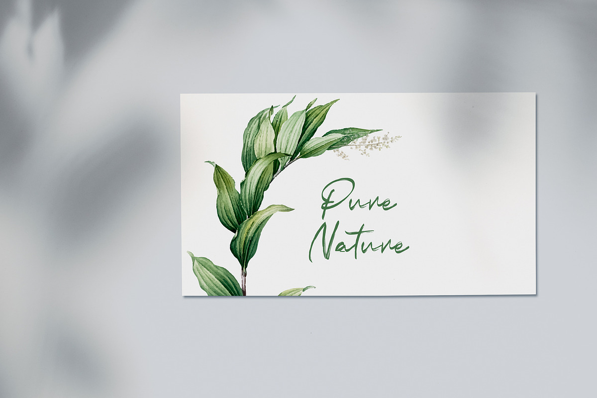 Indobrush - Signature Brush preview 6
