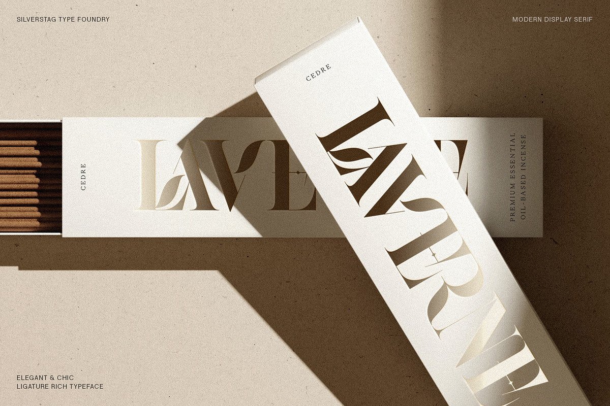 Raving Display Editorial Serif Font, a Serif Font by SilverStag Type Foundry (Photo 16 of 30)