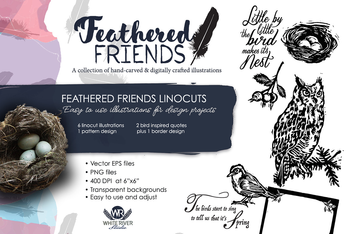 Feathered Friends Linocuts, an Illustration by WhiteRiverStudio (Photo 2 of 10)