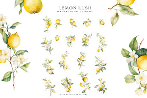 Watercolor Lemon Clipart Collection