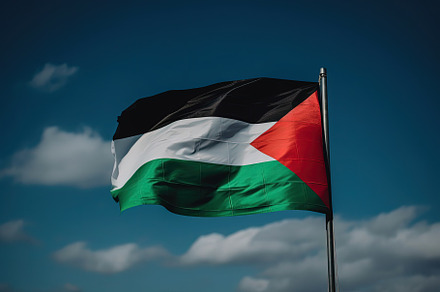 The Palestine flag waving in the bre, a Photo by SaroStock